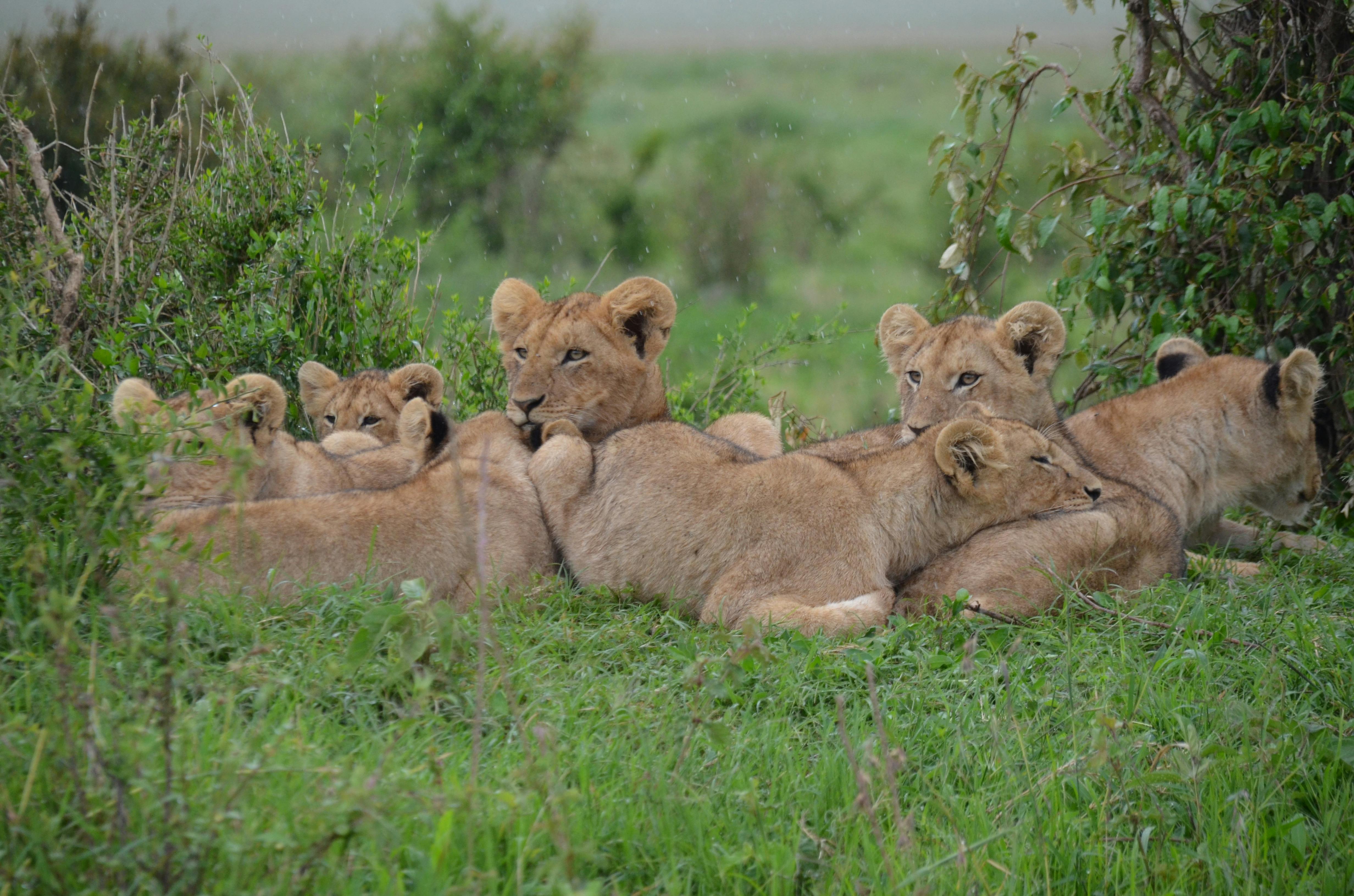 East Africa Destinations